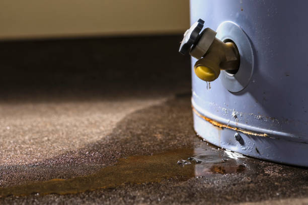 Best Carpet water damage restoration  in Chain Lake, WA