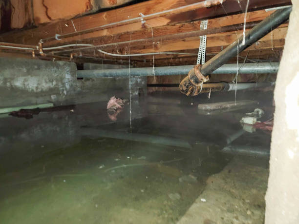 Water damage restoration experts in Chain Lake, WA