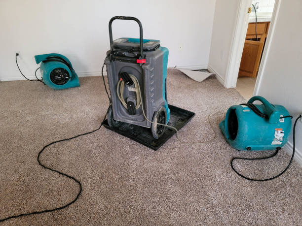Best Mold removal after water damage  in Chain Lake, WA