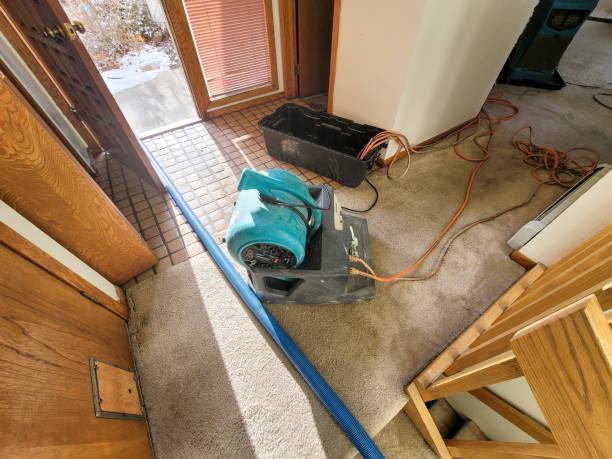 Best Water damage contractors near me  in Chain Lake, WA