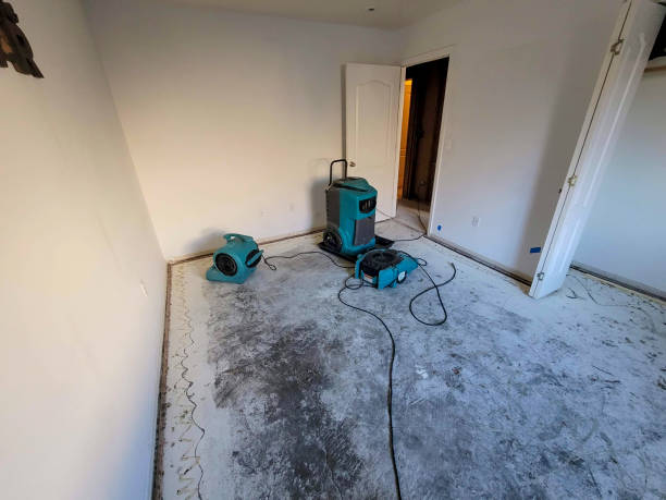 Best 24/7 water damage repair  in Chain Lake, WA