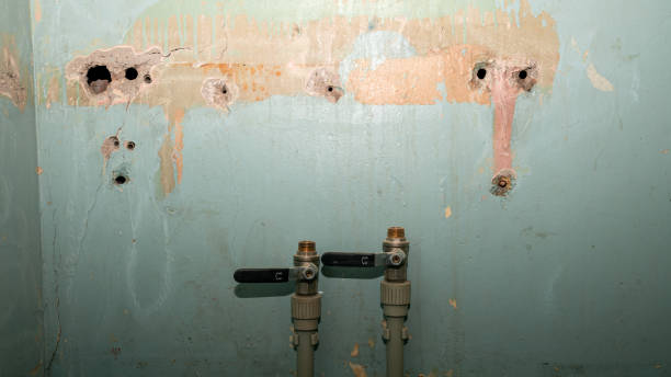 Best Water damage restoration services  in Chain Lake, WA