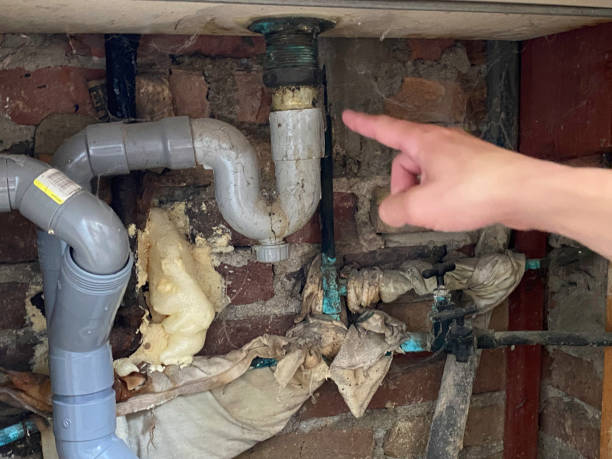 Best Basement water damage restoration  in Chain Lake, WA